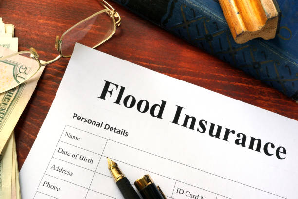 Flood Insurance 101: What You Need to Know